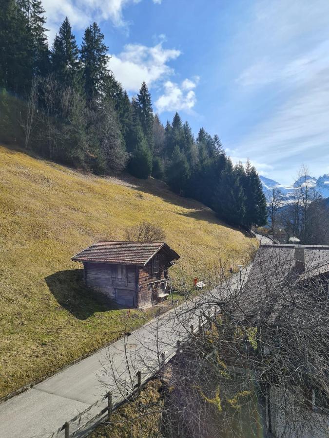 Traditional Chalet In Wengen - Top Floor Apartment Bagian luar foto