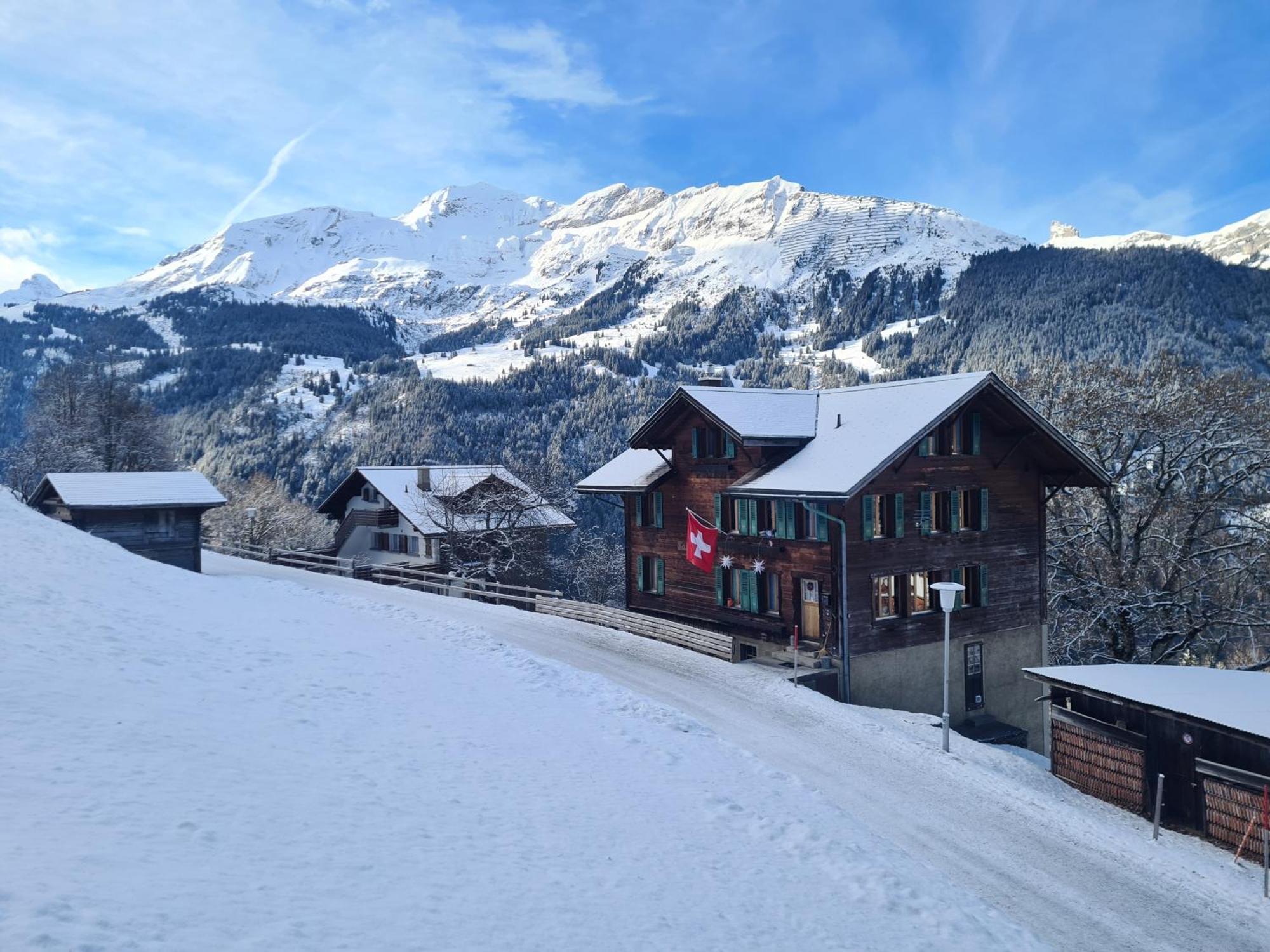 Traditional Chalet In Wengen - Top Floor Apartment Bagian luar foto