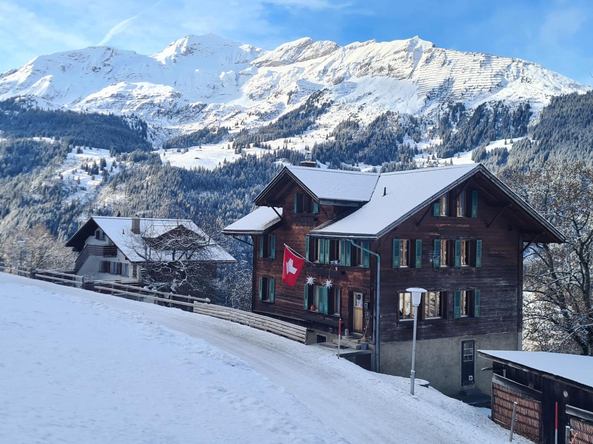 Traditional Chalet In Wengen - Top Floor Apartment Bagian luar foto